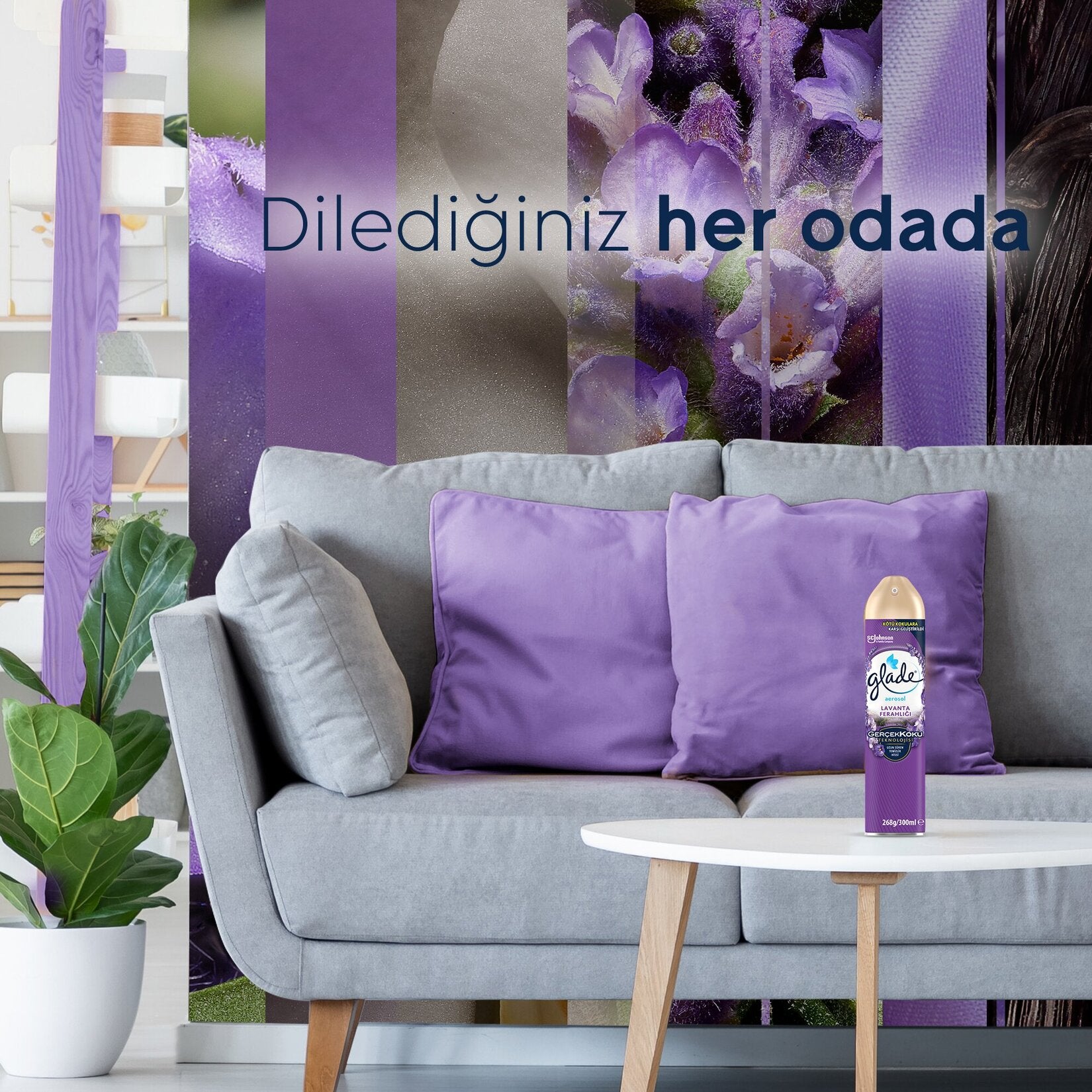 Glade Oda Kokusu 300 ml Lavanta Ferahlığı - Batman Sanal Market
