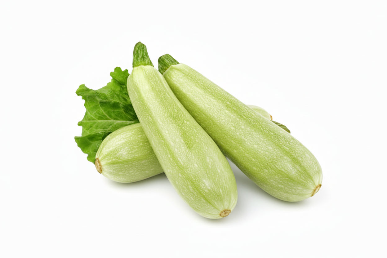 Kabak Kg
