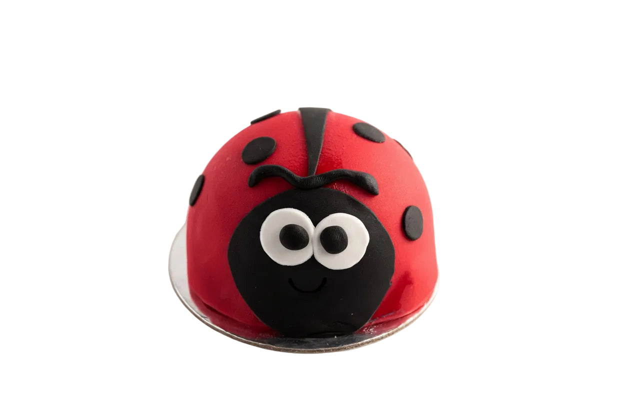 Uğur Böceği Adet Pasta